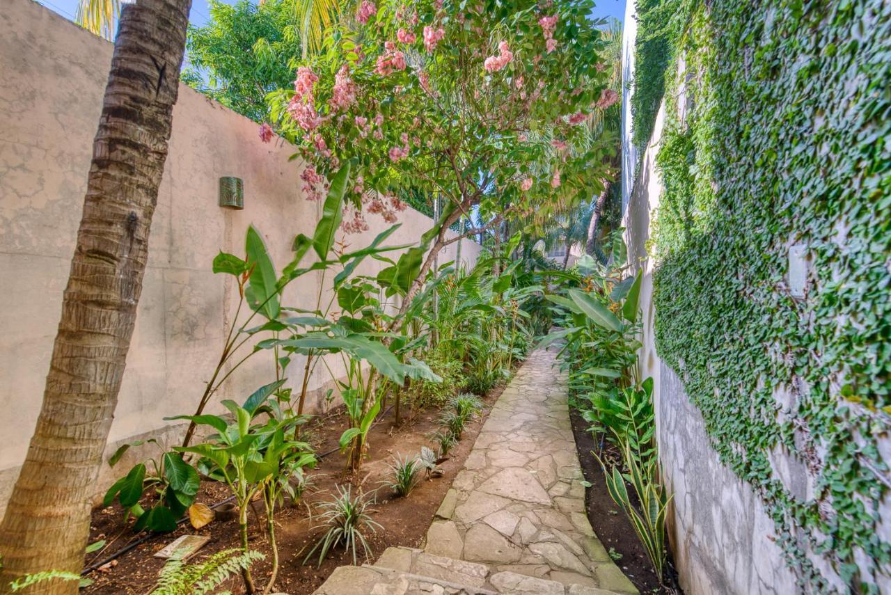 Boutique Hotel Secret Garden Granada Exteriér fotografie